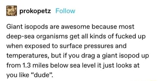 Prokopetz Follow Giant Isopods Are Awesome Because Most Deep Sea Organisms Get All Kinds Of Fucked Up When Exposed To Surface Pressures And Temperatures But If You Drag A Giant Isopod Up From - deep sea memes roblox