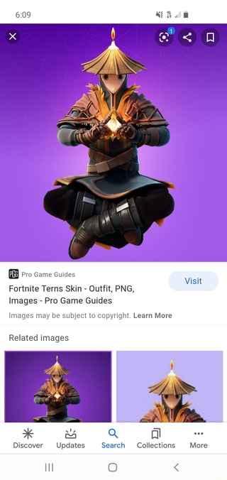 Pro Game Guides Fortnite Terns Skin - Outfit, PNG, Images - Pro Game ...