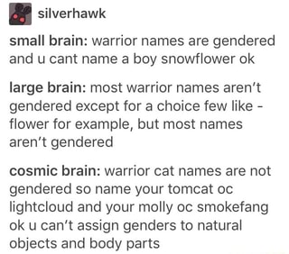 Small Brain Warrior Names Are Gendered And U Cant Name A Boy