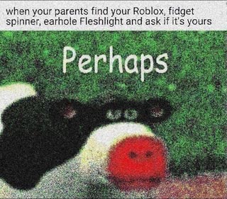 When Your Parents Find Your Roblox Fidget Spinner Earhole Fleshlight And Ask If It S Yours Ifunny - roblox fidget spinner