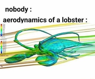 Nobody: aerodynamics of a lobster: - iFunny :)