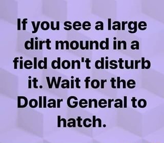If You See A Large Dirt Mound In A Field Don T Disturb It Wait
