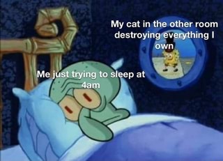 My cat in the other room destroying everything I
own)
Me Just trying to sleep at