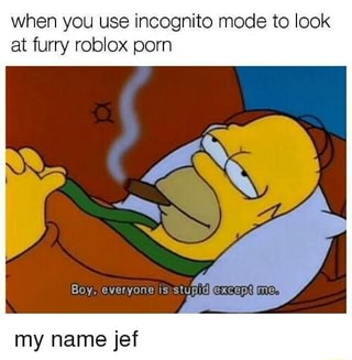 When You Use Incognito Mode To Look At Furry Roblox Pom My Name Jef Ifunny - furry boi roblox