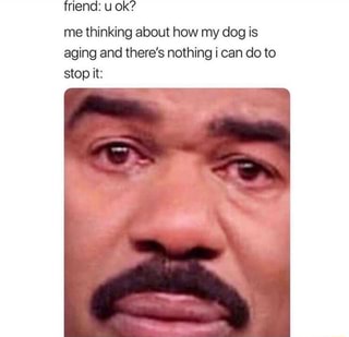 friend: u ok?
me thinking about how my dog is aging and there's nothing i can do to stop it: