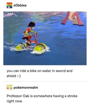 bike you can ride on water