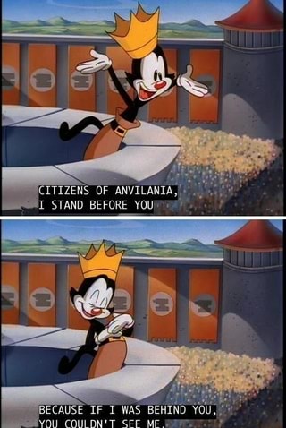 Animaniacs Memes. Best Collection Of Funny Animaniacs Pictures On IFunny