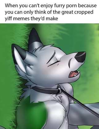When you can't enjoy furry porn because you can only think ...