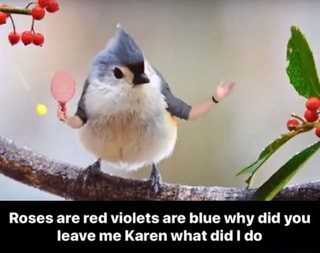Roses Are Red Violets Are Blue Why Did You Leave Me Karen What Did I Do Ifunny