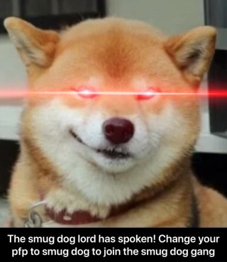 The Smug Dog Lord Has Spoken Change Your Pfp To Smug Dog To Join