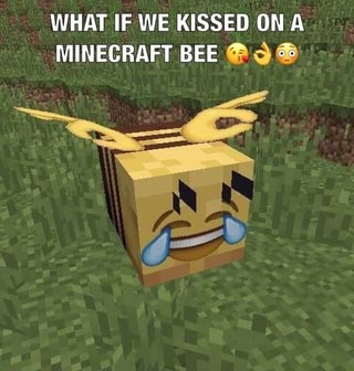 WHAT IF WE KISSED ON A MINECRAFT BEE e a O - iFunny :)