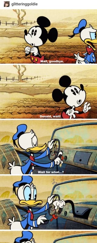 Donald Duck Zettaflare Meme - apsgeyser