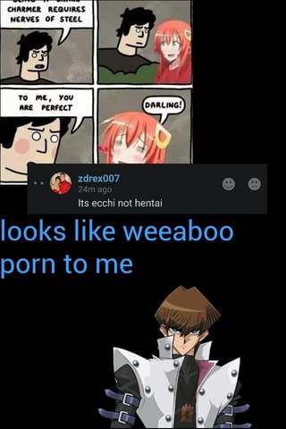 Weeaboo Porn - NERVES OF SYEEL looks like weeaboo porn to me - iFunny :)