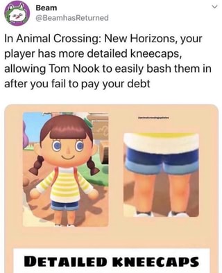 In Animal Crossing New Horizons Your Player Has More Detailed