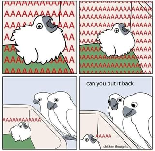 VAAAA,
chicken thought