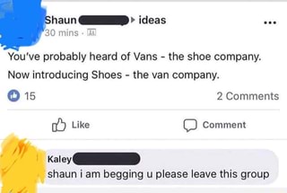 shoes the vans company