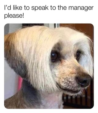 I'd like to speak to the manager - iFunny :)
