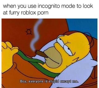 When You Use Incognito Mode To Look At Furry Roblox Pom Ifunny - incognito roblox