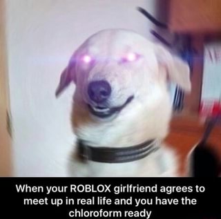 When Your Roblox Girlfriend Agrees M Meet Up In Real Life And You Have The Chloroform Ready Ifunny - toilet pug roblox
