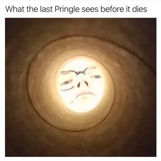 What the last Pringle sees before it dies - iFunny :)