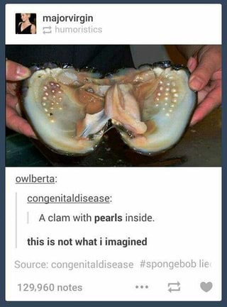 clam with pearls inside