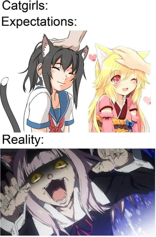 Catgirls: Expectations: - iFunny :)