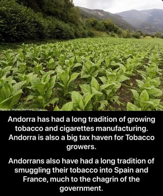 Andorra memes. Best Collection of funny andorra pictures ...