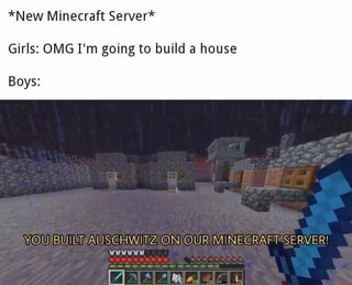 *New Minecraft Server* Girls: OMG I'm going to build a house Boys: YOU ...