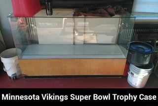 vikings super bowl trophy case