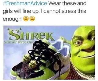 shrek nike air force ones