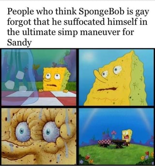 is spongebob gay or asexual