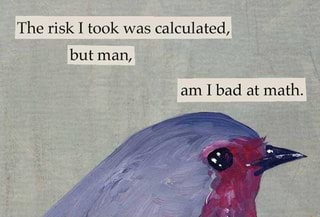 M Kestrel l_ried lo sléal dinner ham 3 Havrls Hawk The risk I took was ...