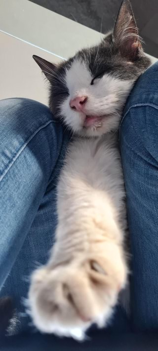 Drooling Memes Best Collection Of Funny Drooling Pictures On IFunny drooling-memes-best-collection-of-funny-drooling-pictures-on-ifunny