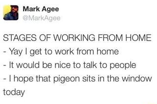 a Mark Agee
STAGES OF WORKING FROM HOME
I get to work from home
It would be nice to talk to people
I hope that pigeon sits in the window
today