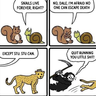 Snails Live Forever Right N0 Dale I M Afraid No One Can Escape Death Quit Running You Liitle Shit Ifunny