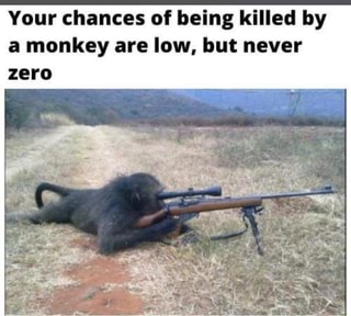 Your chances of being killed by a monkey are low, but never zero ...