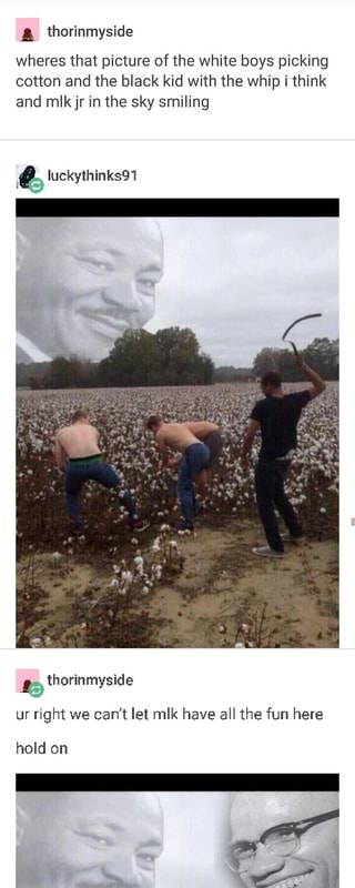 Cotton Picking Meme