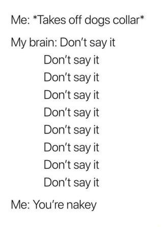 Me Takes Off Dogs Collar My Brain Don T Say It Don T Say It