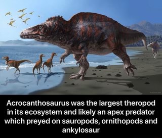 Acrocanthosaurus memes. Best Collection of funny acrocanthosaurus ...