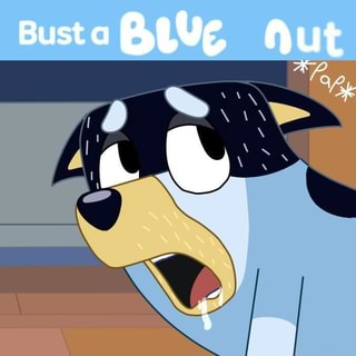 Bluey memes. Best Collection of funny bluey pictures on iFunny