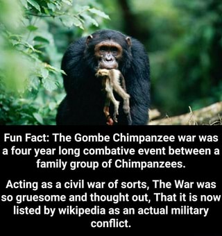 the great chimpanzee war