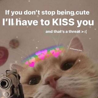 If You Don T Stop Being Cute I Ll Have To Kiss You Ifunny