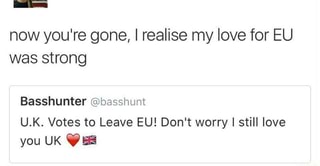 Now You Re Gone I Realise My Love For Eu Was Strong Basshunter