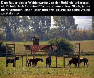 Dem Bauer dieser Weide wurde von der Behörde untersagt, ein Dem Bauern dieser Weide wurde von der Behörde untersagt, ein