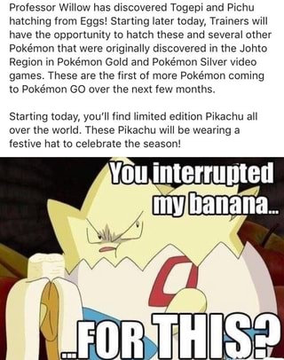 Professor Willow Has Discovered Togepi And Pichu Hatching