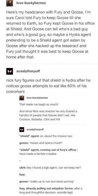 Here‘s my headcanon with Fury and Goose. I'm sure Carol told Fury to ...