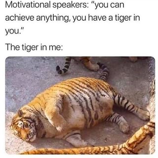 Motivational speakers: "you can
achieve anything, you have a tiger in