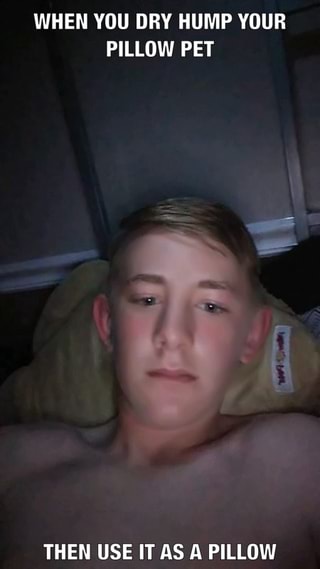 When You Dry Hump Your Pillow Pet Then Use It As A Pillow Ifunny