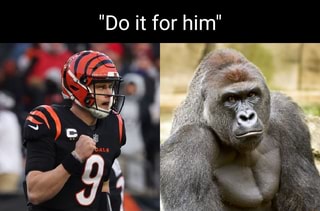 Pickswise on X: Sam Hubbard said the Bengals want to win the Super Bowl  for Harambe (via @PardonMyTake)  / X