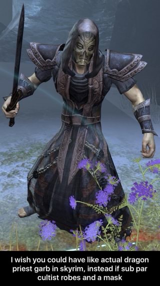 Iwish You Could Have Like Actual Dragon Priest Garb In Skyrim Instead If Sub Par Cultis Robes And A Mask I Wish You Could Have Like Actual Dragon Priest Garb In